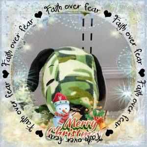 Meet your Posher, Dora